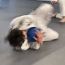 TH용인대유도체육관 이미지