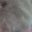 대구혁신메디컬 동물병원 이미지