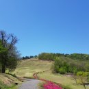 입점리_고분전시관 이미지