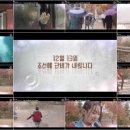 퐁당퐁당 이미지