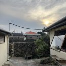 제주 창작무 | [성산여행] 제주 구좌 카페 먀 아기랑