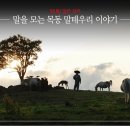 로컬리지 | 말(馬) 많은 제주, 말을 모는 목동 말테우리 이야기