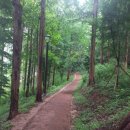 산새들공원 이미지