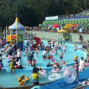 장흥 자연휴양림 이미지