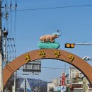 만춘향 | 안동 풍산 '만춘향' 해물낙지짬뽕 후기