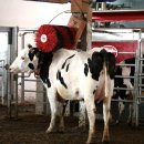 진흥목장 이미지