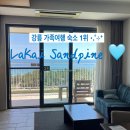 (주)조경시대 | 강릉 가족여행 숙소 라카이샌드파인 오션뷰 내돈내산 5인 후기