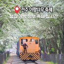 2026 전주 이팝나무 축제 기간 철길 시간 주차 정보