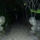 궁중백숙 이미지