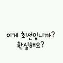 슈즈홀릭 이미지