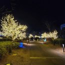 화이트캐슬 | 부산 다대포 낙조분수 화이트캐슬 겨울 이벤트 방문 후기