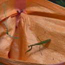 굴업도 선착장 공중화장실 | 굴업도 노숙기 - 1