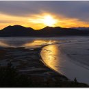 순천만습지 이미지