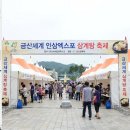 충남 여름 가족 나들이 계획 중이라면, 금산 삼계탕 축제 현장에서 직접 돌아본 후기