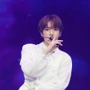 윈터블루(Winter blue) 이미지