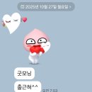 꼬리뼈 골절 직장인 2~3주차 후기