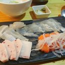 스시비또 이미지