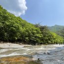 신한아파트 앞 사거리 이미지