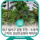 두류신시장 | 대구 달서구 공원 추천 :: 두류역 근처의 감삼못공원이 딱이지!