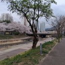 디온스크린골프장유점 | 장유골프레슨 인조이GDR골프아카데미 넓고 쾌적한 공간에서 제대로 시작한 골프 연습