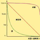 6.생물과 환경 - 1.생태계의 구성 - (3) 개체군과 군집 이미지