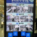 미석디자인 | 미국 서부 여행 Day1 │ 에어프레미아 타고 LA 도착! 그리피스 천문대 야경, 파머스마켓, 더 그로브