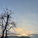 더 맑은 민박 이미지