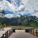 울렁다리 화장실 이미지