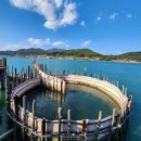 죽방특산물 이미지