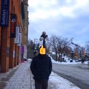 샤토로리에2 이미지