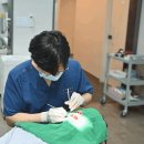 지금편한치과의원 이미지