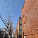 장하로1 이미지