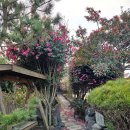 UR(제주시)-[일주동로]-하-6 | 표선 조용히 쉬기 좋은 개냥이도 있는 감성 게하 추천 : 하늘아래게스트 하우스