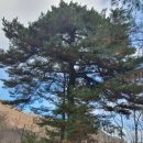 경기둘레길 가평25코스 이미지