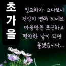 그동안.품바청이사랑카페에.아무것도.해주지못하고 이미지