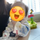 과일나라춘천