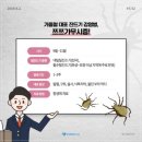 정샘동물병원 이미지