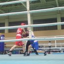 BLSO 복싱 아카데미 이미지