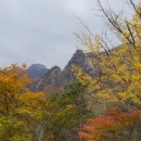 좋은아침 - 구리시 동구릉로136번길 47 | 좋은아침
