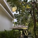 (유)평화교통 이미지