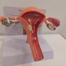 인애한의원 이미지