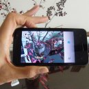 휴대폰으로 찍는 예술 사진 이미지