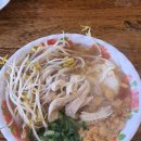 라오삐약 이미지