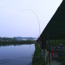 백달낚시터 이미지