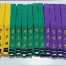 용인대독수리태권도 이미지