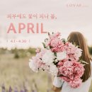 로바에의원 이미지