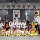 용인대 국가대표 태권도 이미지