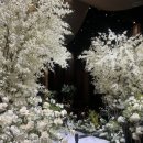 예산-27 | 잠실·송파 웨딩홀 서울웨딩타워 견적공유(27년 상반기) | 실제 방문 후기