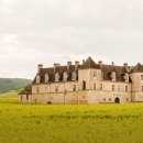 와인마스터 이미지