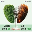 산림임업